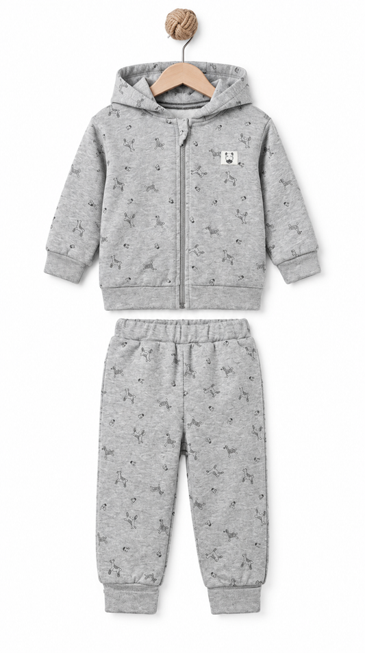 BabyCosy Hooded Jacket & Pants Set