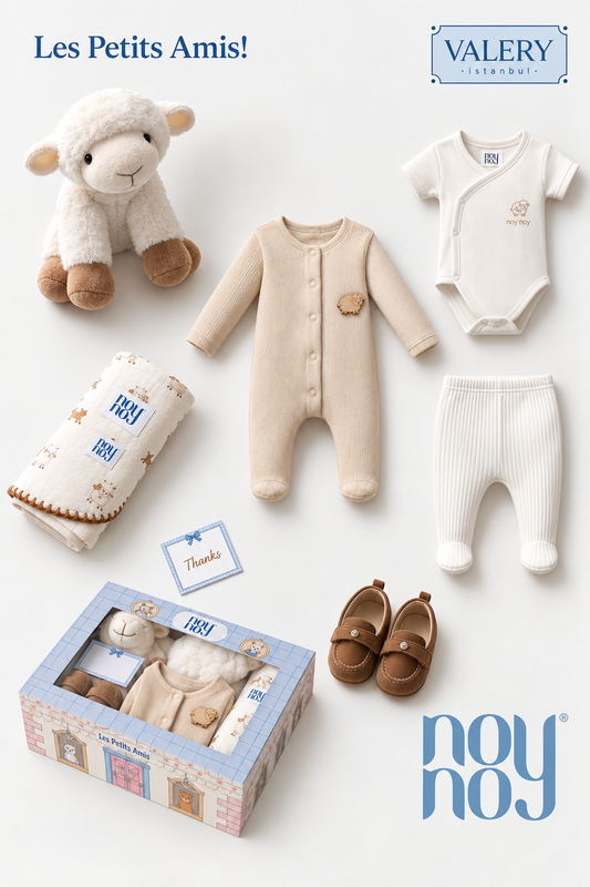 NoyNoy Gift Set with Toy